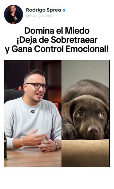 Clip 4